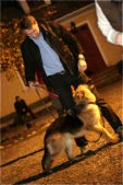 Bilder från Östergrens Hundägarskola