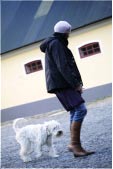 Bilder från Östergrens Hundägarskola