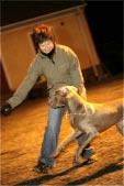 Bilder från Östergrens Hundägarskola
