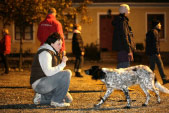 Bilder från Östergrens Hundägarskola